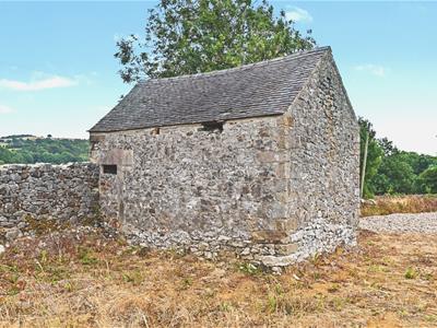 Picture 17
